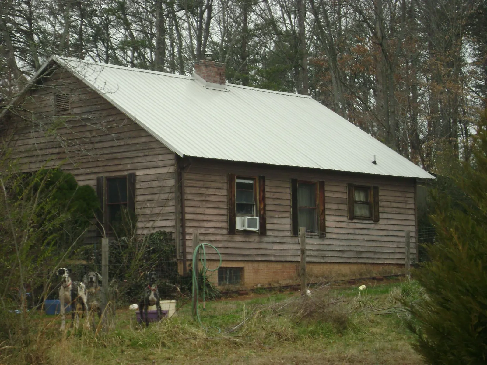 White metal roof on an old wood sided farmhouse, from a Metal Roof Installation job in Climax